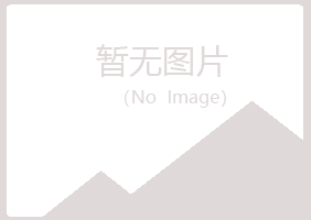 重庆江北山柏服务有限公司